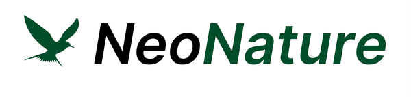 NN Logo
